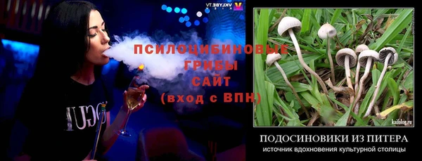 винт Пестово
