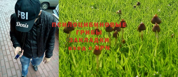 молекула духа Покровск