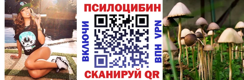 shop официальный сайт  Чкаловск  Псилоцибиновые грибы MAGIC MUSHROOMS 