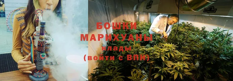 МАРИХУАНА SATIVA & INDICA  Чкаловск 